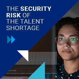 Security risk report