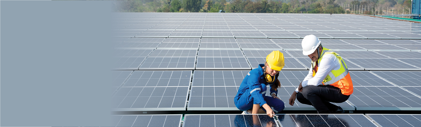 A man and a woman wearing protective construction gear including hard hats, crouch between a field of solar panels.